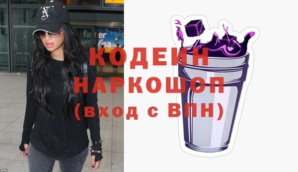 крисы Каменка