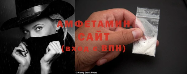 крисы Каменка