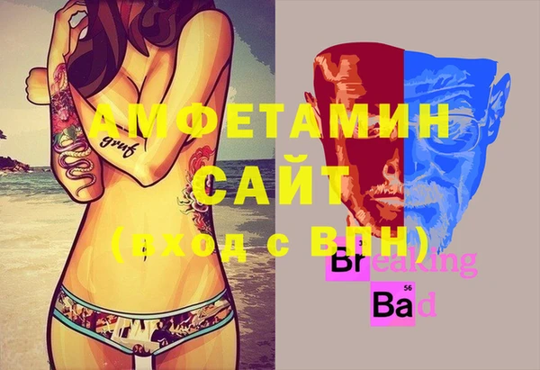крисы Каменка