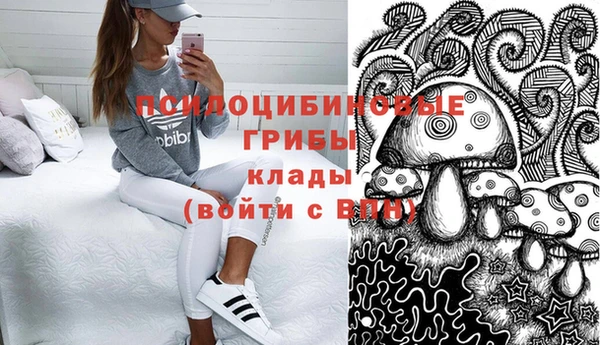 jwh Каменногорск