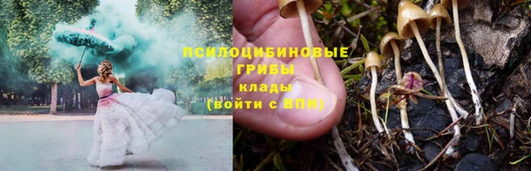 крисы Каменка