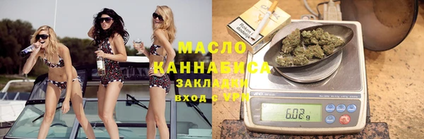 крисы Каменка