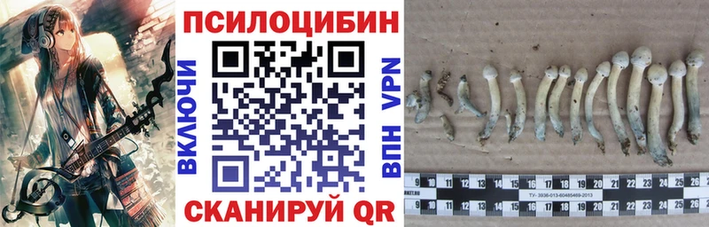 Галлюциногенные грибы прущие грибы  купить наркоту  Кисловодск 