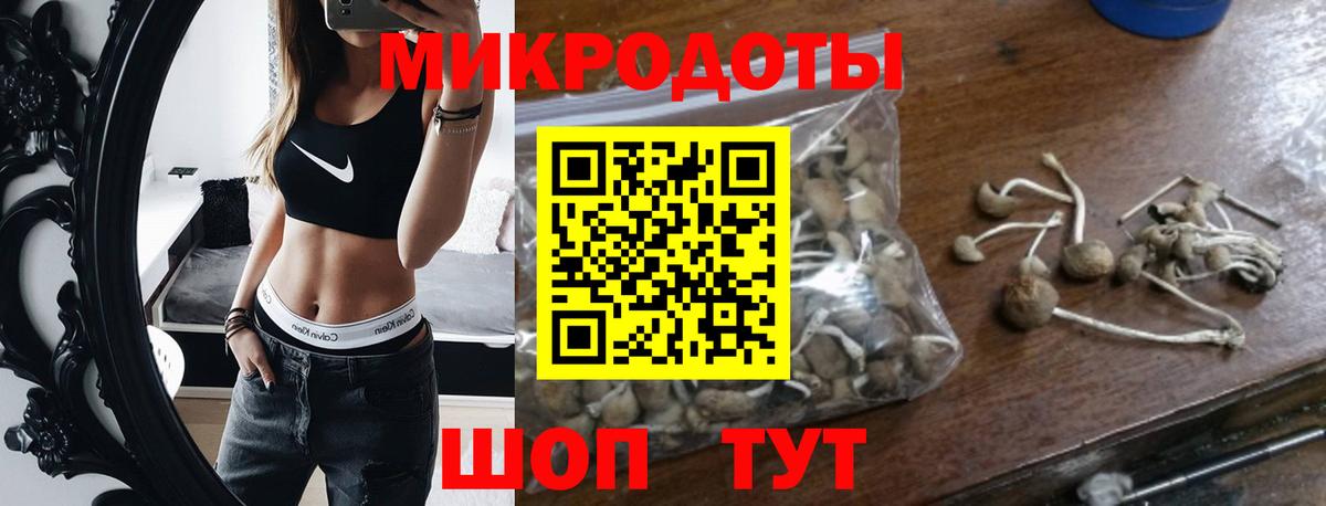 Галлюциногенные грибы мицелий  Вход с VPN  Кисловодск 