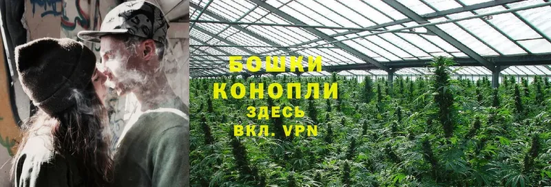 kraken tor  это клад  Бошки Шишки White Widow  Кисловодск 